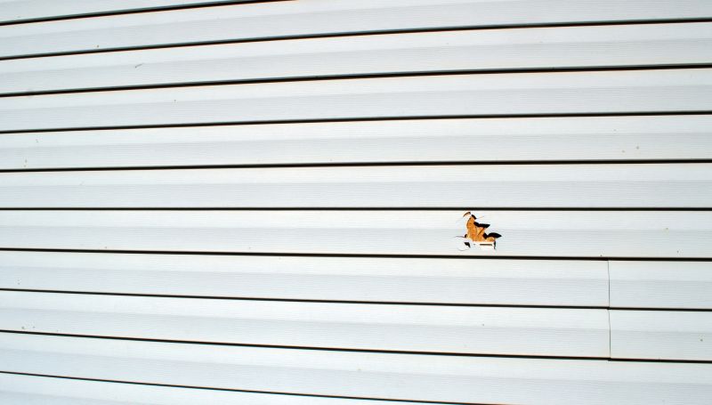 Seam and Edge Repair